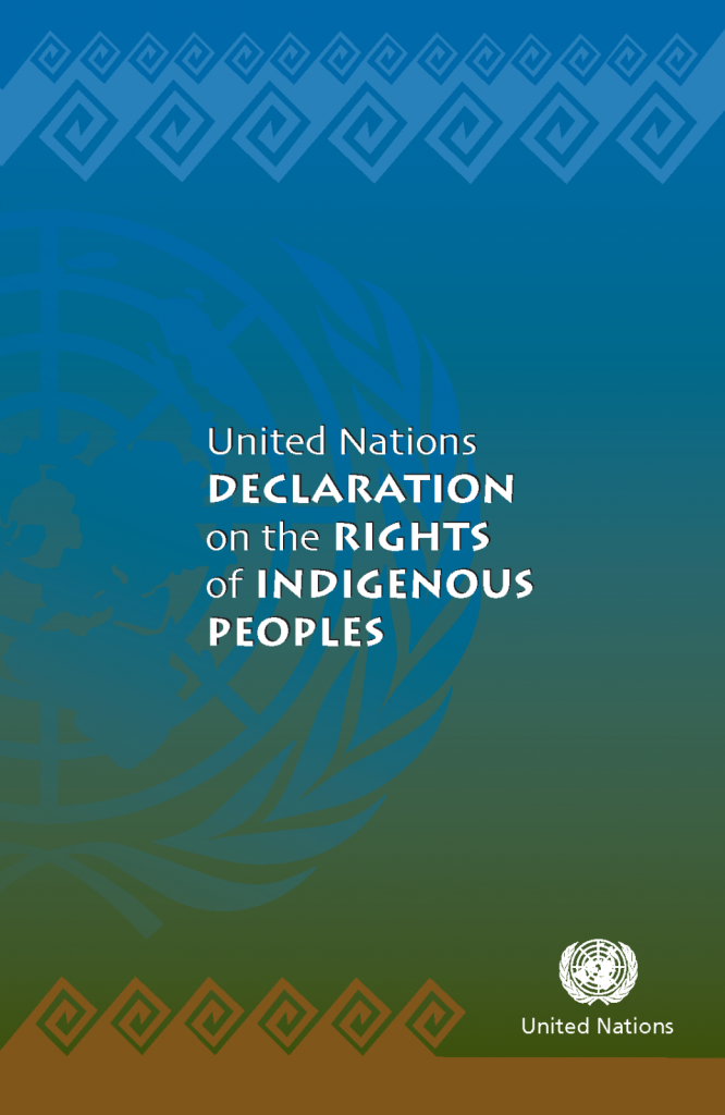 Canada's Commitment To United Nations Declaration On The Rights Of ...